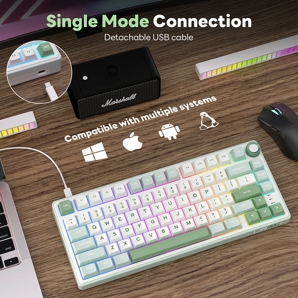 RK Royal Kludge R75 Gasket Wir - Gaming Keyboard Mobile recensione e prezzo