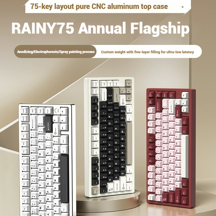 Wireless Bluetooth RAINY75 Cus - Gaming Keyboard Wireless recensione e prezzo