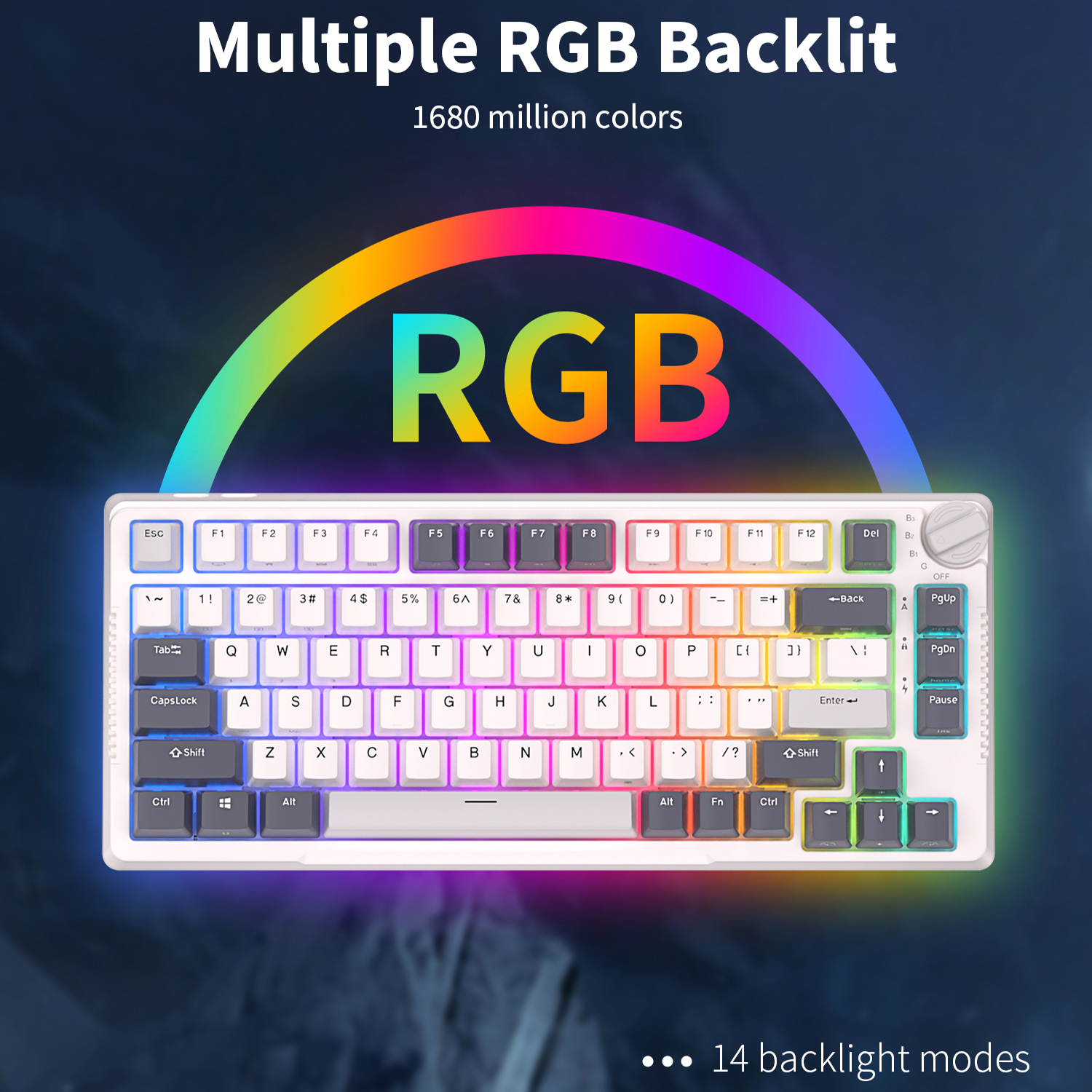 RK H81 Royal Kludge Gasket Str - Gaming Keyboard Mobile recensione e prezzo